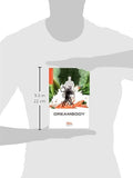 Dreambody: The Body's Role in Healing the Self