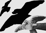 The Art of Hand Shadows
