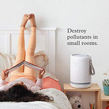 Molekule Air Air Mini - Multi-Space Air Purifier Bundle