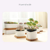 Imaniastore Heart Shaped Succulent Planter Pot with Drainage and Bamboo Trays White Ceramic Decorative Cactus Plant Pot Flower Container