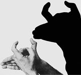 The Art of Hand Shadows