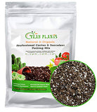 Organic Succulent and Cactus Soil Mix, Professional Potting Soil Fast Drainage Pre-Mixed Blend, Garden Soil for Indoor Plants, Aloe Vera, Snake Plant, Spider Plant, Herbs, Houseplants, 2 Quarts