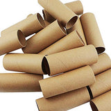 Neworkg 30 Pack Craft Roll - Cardboard Tubes for DIY Crafts,3.9 inches Tall