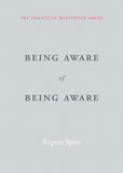 Being Aware of Being Aware