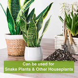 Organic Succulent and Cactus Soil Mix, Professional Potting Soil Fast Drainage Pre-Mixed Blend, Garden Soil for Indoor Plants, Aloe Vera, Snake Plant, Spider Plant, Herbs, Houseplants, 2 Quarts