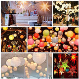LOGUIDE Paper Lantern Lights,Battery Operated LED Party Lights Bulbs for Paper Lantern Balloons Party Decoration, Waterproof - Warm White 12PACK