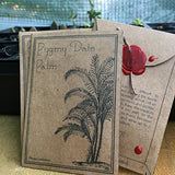 Pygmy Date Palm 20 Seeds - Phoenix roebelenii