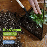 Organic Succulent and Cactus Soil Mix, Professional Potting Soil Fast Drainage Pre-Mixed Blend, Garden Soil for Indoor Plants, Aloe Vera, Snake Plant, Spider Plant, Herbs, Houseplants, 2 Quarts