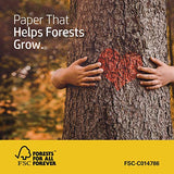 HP Printer Paper | 8.5 x 11 Paper | BrightWhite 24 lb |1 Ream - 500 Sheets| 100 Bright | Made in USA - FSC Certified | 203000R