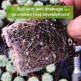 Organic Succulent and Cactus Soil Mix, Professional Potting Soil Fast Drainage Pre-Mixed Blend, Garden Soil for Indoor Plants, Aloe Vera, Snake Plant, Spider Plant, Herbs, Houseplants, 2 Quarts