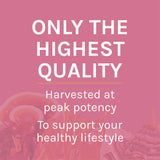 Host Defense, Turkey Tail Mushroom Powder, Supports Immune Health, Certified Organic Supplement, 3.5 oz (66 Servings)