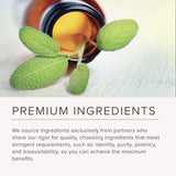 Integrative Therapeutics - Theracurmin HP - Turmeric, Curcumin Supplement - 27x More Bioavailable - High Absorption Turmeric* - Vegan - 60 Capsules