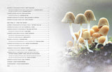Fantastic Fungi: How Mushrooms Can Heal, Shift Consciousness, and Save the Planet