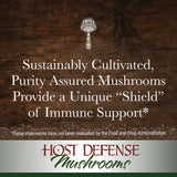 Host Defense - MycoShield Multi Mushroom Spray Winter Mist, Daily Immune Support with Agarikon, Turkey Tails, and Reishi, Non-GMO, Vegan, Organic, 71 Servings (1 Ounce)