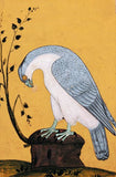 The Canticle of the Birds: Illustrated Through Persian and Eastern Islamic Art