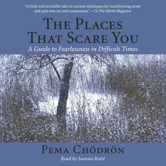 The Places That Scare You: A Guide to Fearlessness in Difficult Times