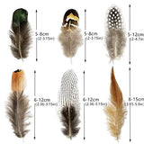 180pcs 6 Style Natural Feathers Assorted Mixed Feathers for Dream Catcher Crafts Decoration … (6 Styles/180 Pcs)