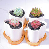 Imaniastore Heart Shaped Succulent Planter Pot with Drainage and Bamboo Trays White Ceramic Decorative Cactus Plant Pot Flower Container