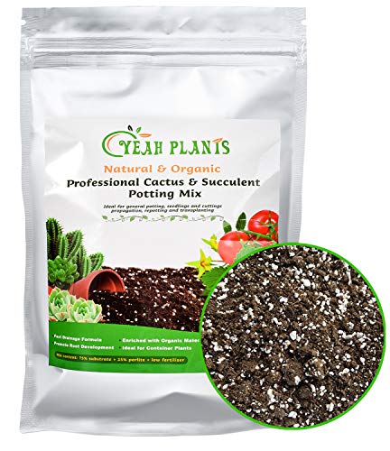 Organic Succulent and Cactus Soil Mix, Professional Potting Soil Fast Drainage Pre-Mixed Blend, Garden Soil for Indoor Plants, Aloe Vera, Snake Plant, Spider Plant, Herbs, Houseplants, 2 Quarts