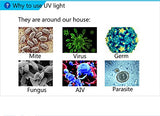 Pur UV Powerful Light, 55W Livingroom Bedroom Germ. Dustmite Eliminator, kill 99.9% mold Bacteria, Germs, Dustmite and Virus, Help Reduce Allergies to Dust mite
