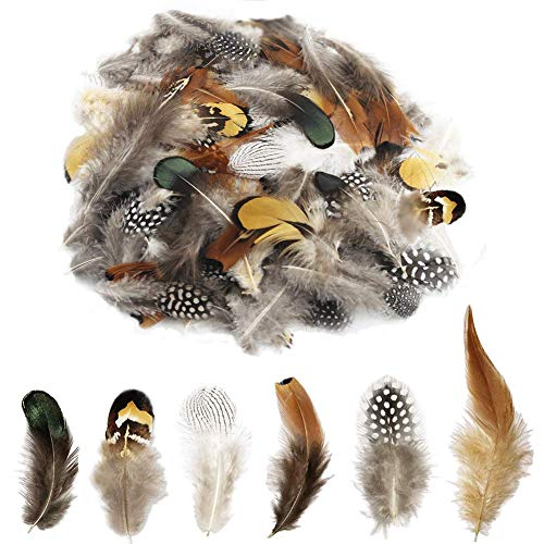 180pcs 6 Style Natural Feathers Assorted Mixed Feathers for Dream Catcher Crafts Decoration … (6 Styles/180 Pcs)