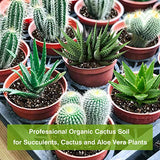 Organic Succulent and Cactus Soil Mix, Professional Potting Soil Fast Drainage Pre-Mixed Blend, Garden Soil for Indoor Plants, Aloe Vera, Snake Plant, Spider Plant, Herbs, Houseplants, 2 Quarts