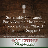 Host Defense - MycoShield Multi Mushroom Spray Winter Mist, Daily Immune Support with Agarikon, Turkey Tails, and Reishi, Non-GMO, Vegan, Organic, 71 Servings (1 Ounce)