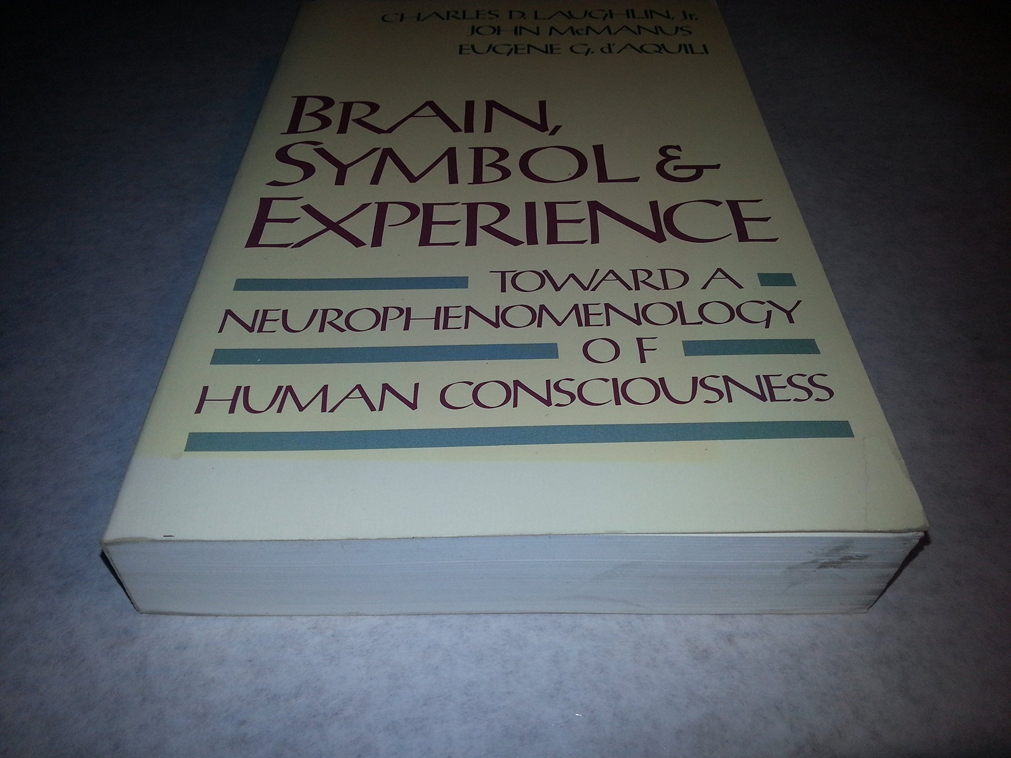 Brain, Symbol & Experience: Towards a Neurophenomenology of Human